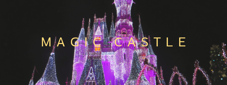 Disney Magic Castle
